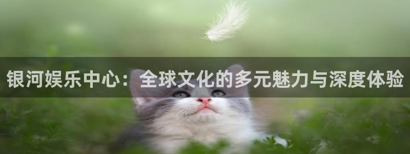恩佐娱乐