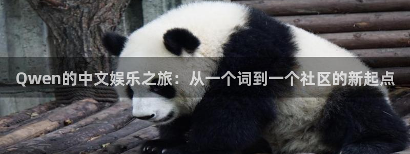 恩佐娱乐