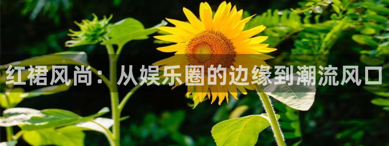 恩佐娱乐