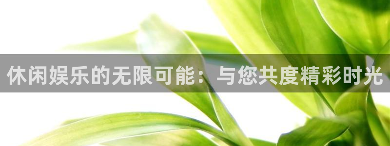 恩佐娱乐