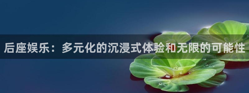 恩佐娱乐