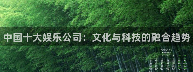 恩佐娱乐