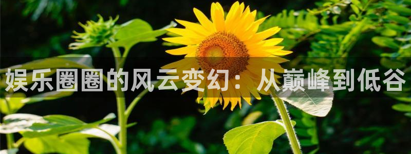 恩佐娱乐