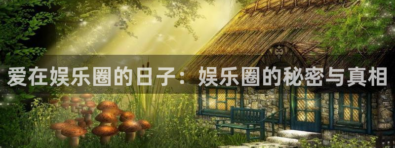 恩佐娱乐